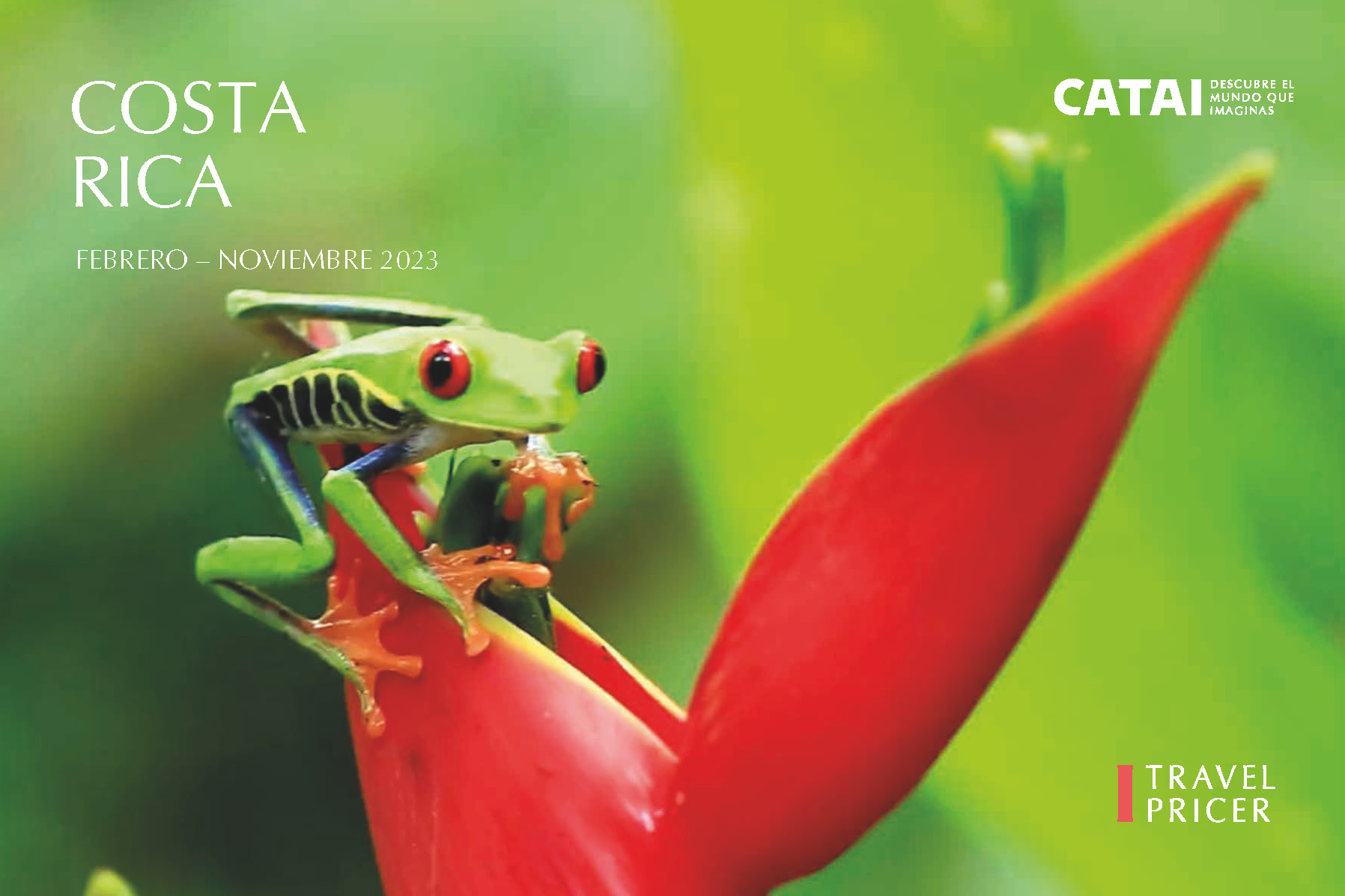 Catalogo Catai Costa Rica 2023