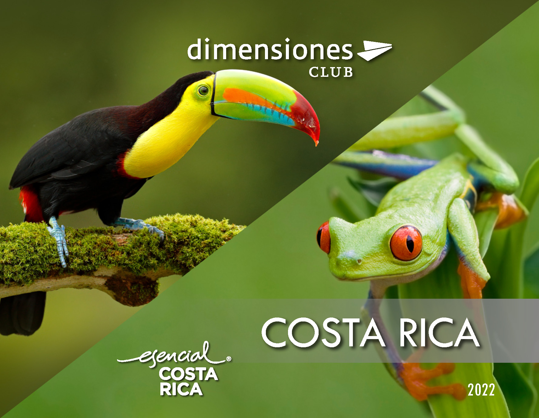 Catalogo Dimensiones Club Costa Rica 2022