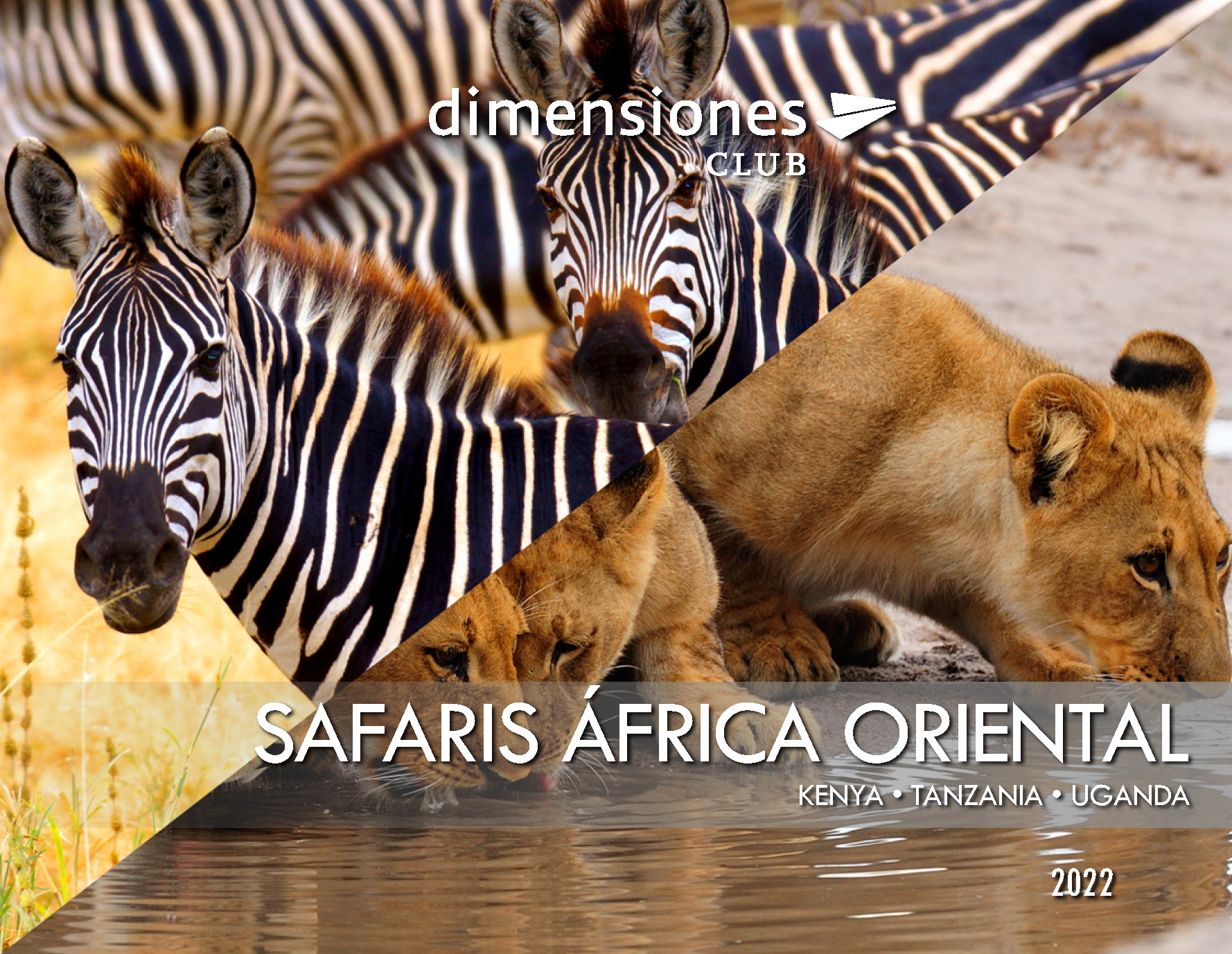 Catalogo Dimensiones Club Safaris Africa Oriental 2022
