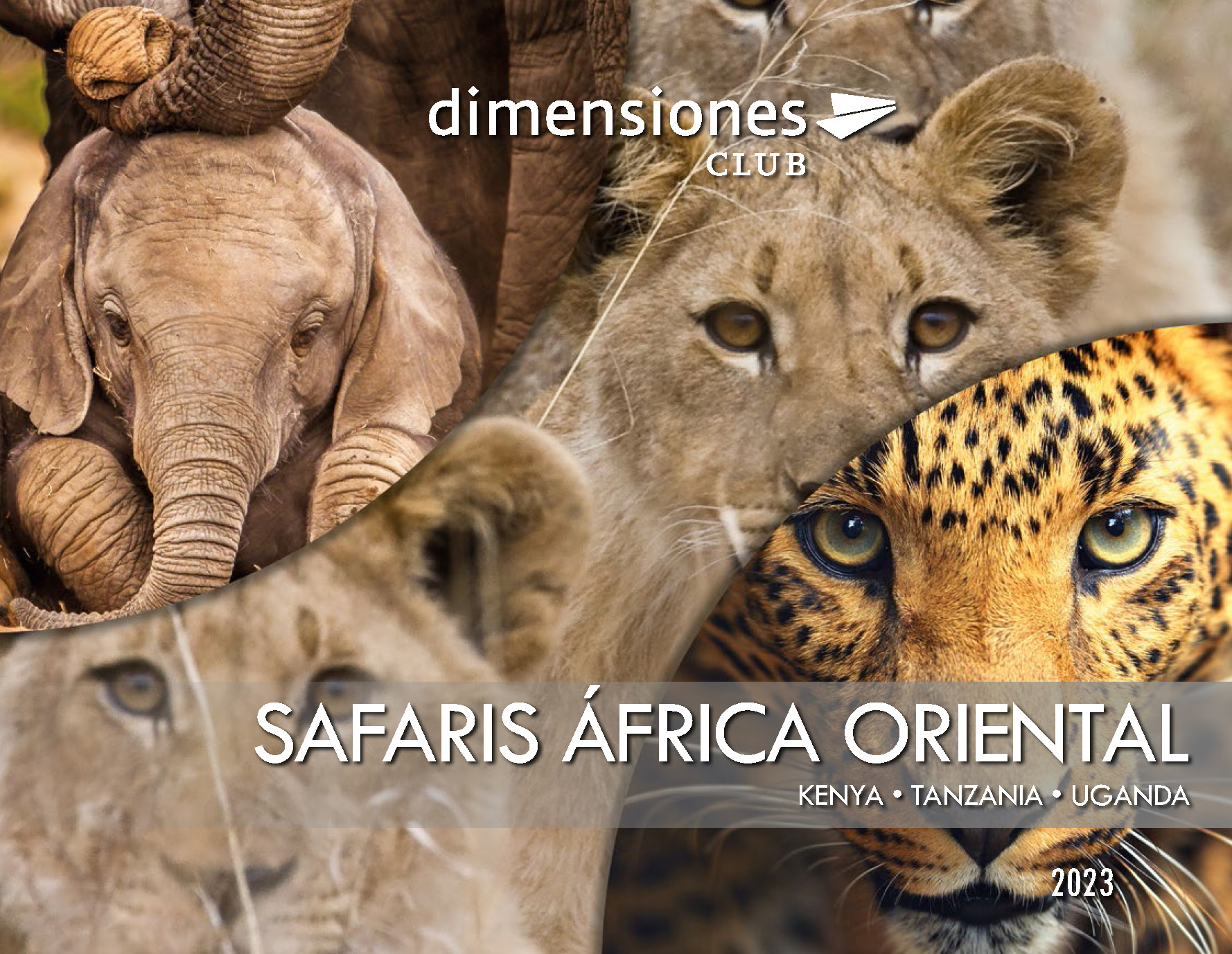 Catalogo Dimensiones Club Safaris Africa Oriental 2023