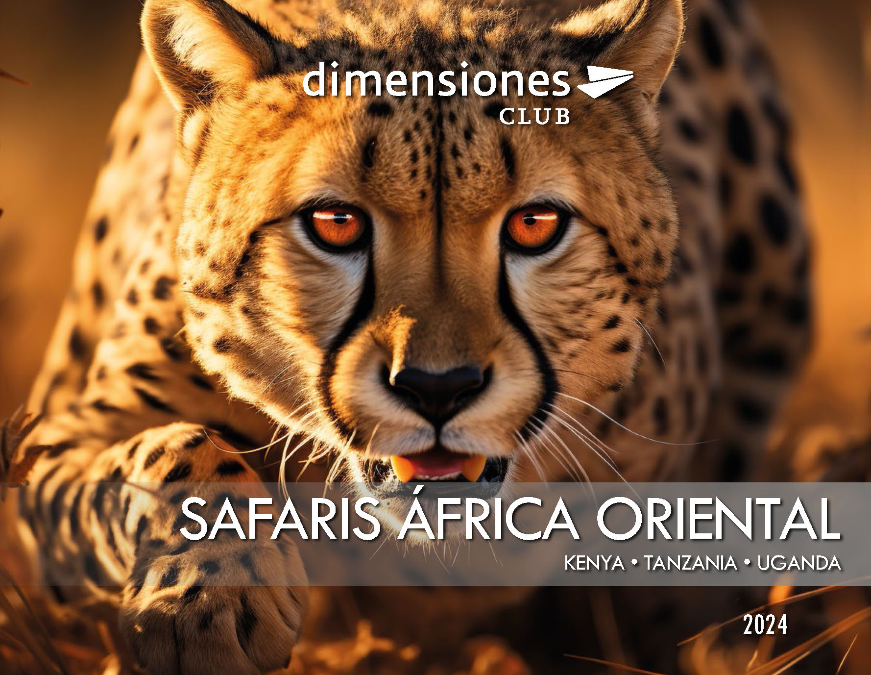 Catalogo Dimensiones Club Safaris Africa Oriental 2024