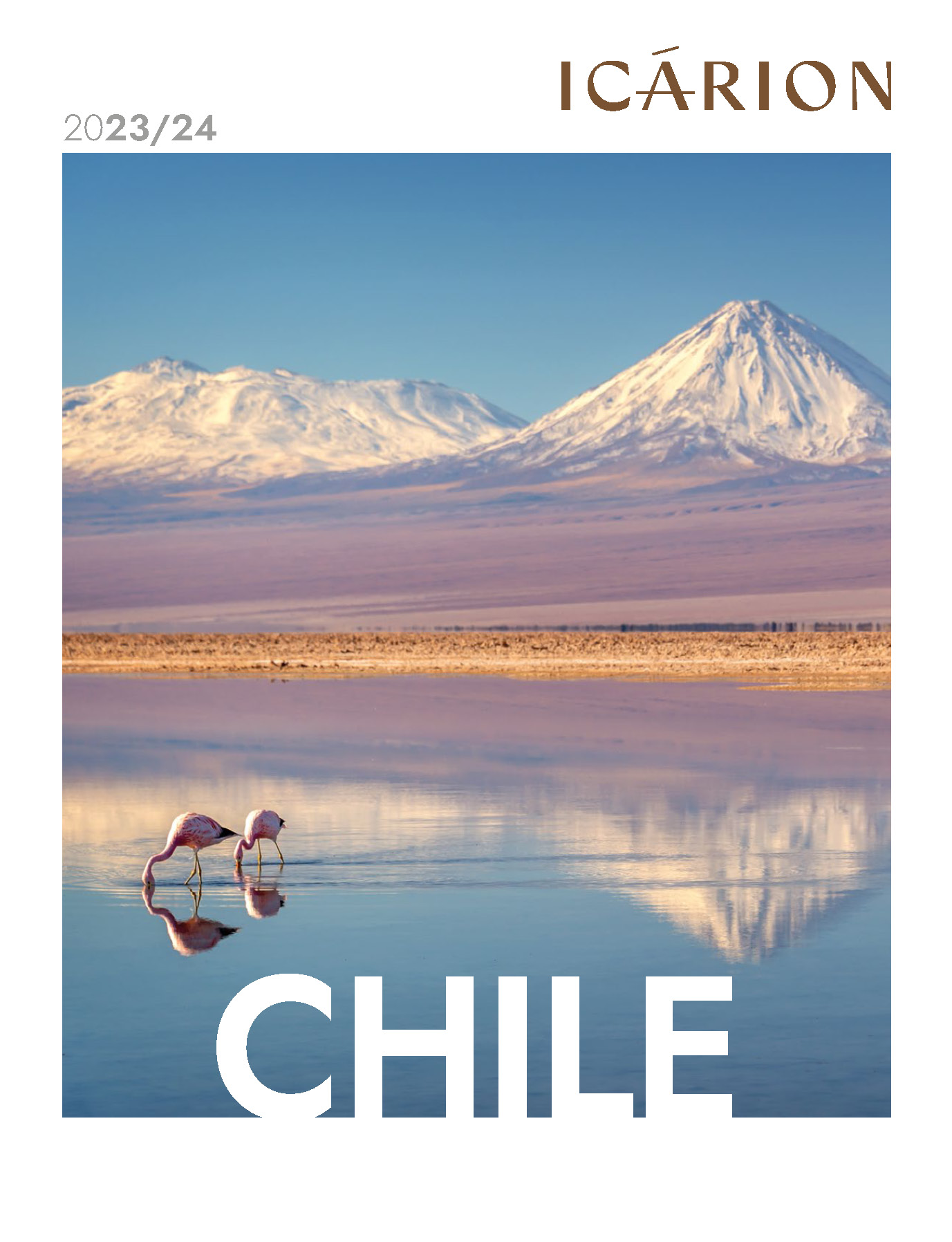 Catalogo Icarion Chile 2023-2024