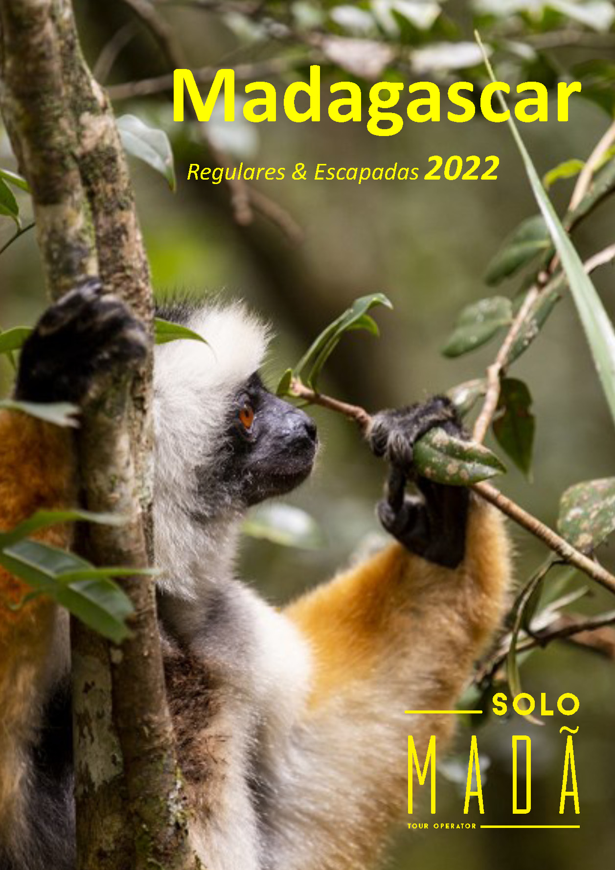 Catalogo Solo Mada Madagascar Circuitos Regulares y Escapadas 2022