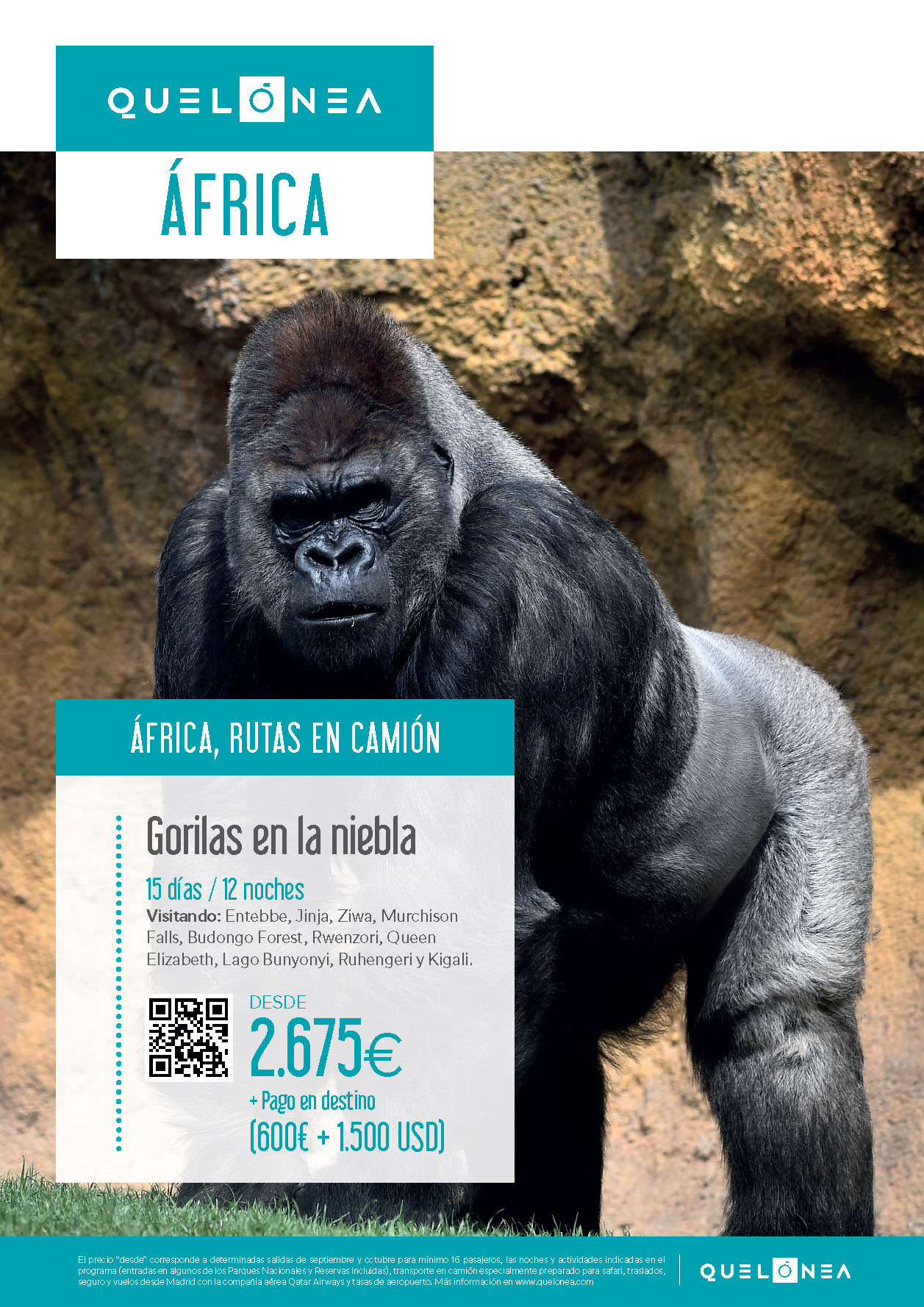 Oferta Quelonea 2022-2023 Circuito Africa Ruta en camion Gorilas en la Niebla 15 dias